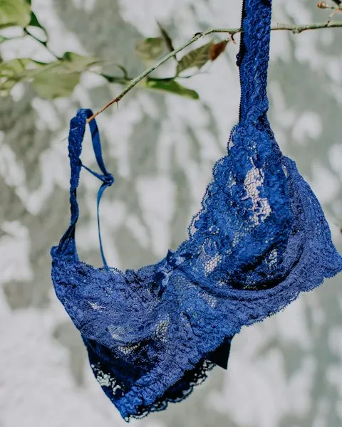 Royal Blue Lace Bra - Seamless Feel