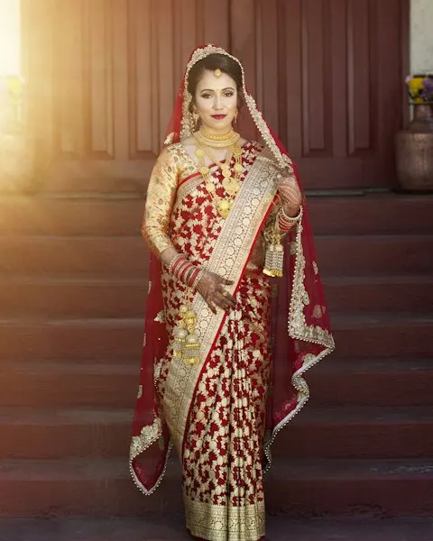 Handcrafted Brown Banarasi Silk Saree - Heritage Craft Look